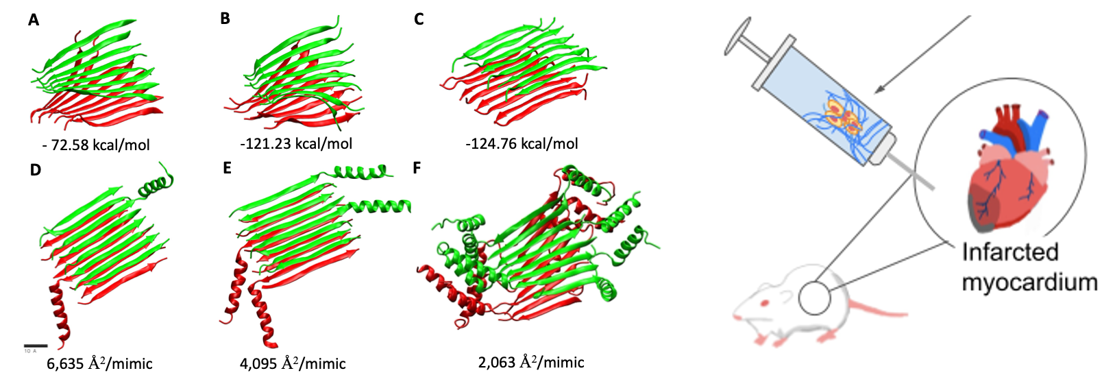 Computational simulations of peptide nanofiber self-assemblies